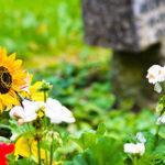 6 Signs From Deceased Loved Ones