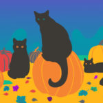 Black Cats: Fact and Fiction | California Psychics