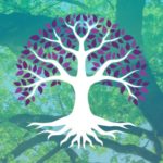 Connect to the Earth with Your Celtic Tree Sign | California Psychics