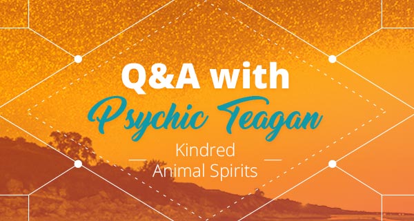 Psychic Q&A: Kindred Animal Spirits | California Psychics