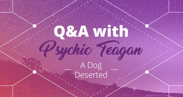 Psychic Q&A: A Dog Deserted | California Psychics
