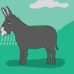 Meaning of a Donkey Sighting | California Psychics
