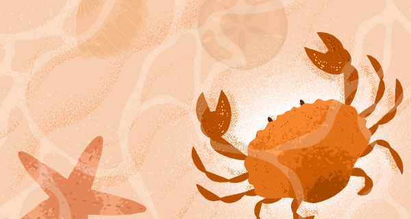 An orange-tinted drawing of a crab and a starfish side by side, with ripples of water above them.