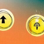 Two yellow icons over an orange-teal background, showing the symbols for two types of spirit guides - an arrow for pathfinder guides and a tree for ancestral guides.