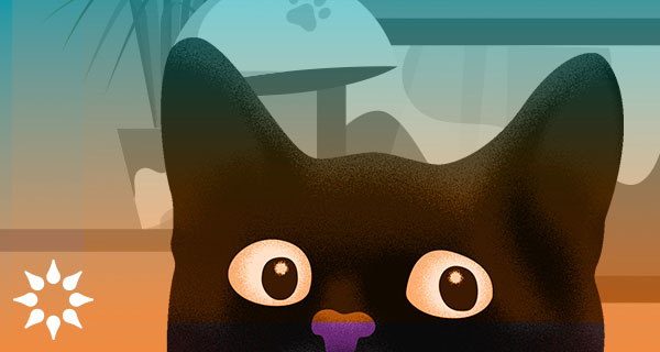 An image of the top half of a black cat's head, as if it is mischievously peeking up at you over a counter or table. Its eyes are wide and it is excitedly looking at something off-screen.