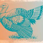 A detailed blue outline of a turkey standing over an orange background. It is facing left, and standing on a small patch of grass.