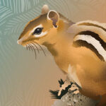 A painted image of a small chipmunk standing on a branch. The chipmunk has black and white stripes down its back and is looking off to the left.