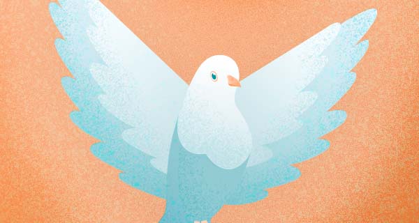 An image of a bluish-white dove flying toward the viewer over an orange background.