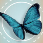 A vibrant blue butterfly, flying away from the camera over an orange-to-teal background.