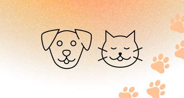 Outlines of a dog and cat side by side over an orange-to-white gradient background. Pawprints crawl up the background and move offscreen.