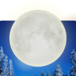 An image of a large Full Moon over a dark blue background. Snowy trees line the background.