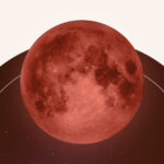 A red moon rising in the night sky