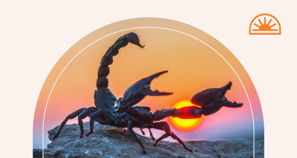 A scorpion standing on a rock in front of the sunset.