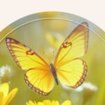 A yellow butterfly flying through a field.