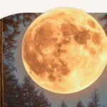 A very large orange Full Moon visible through the trees.